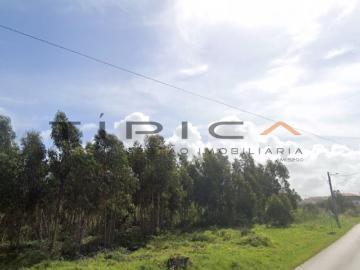 OPORTUNIDADE Terreno com viabilidade para desenvolvimento turístico