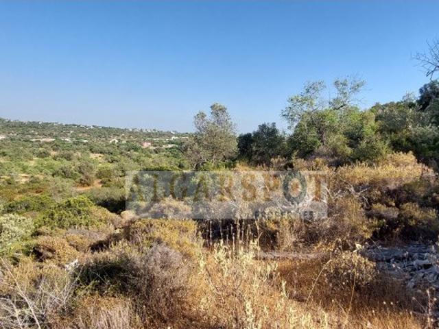 Oportunidade Terreno construtível em Loulé