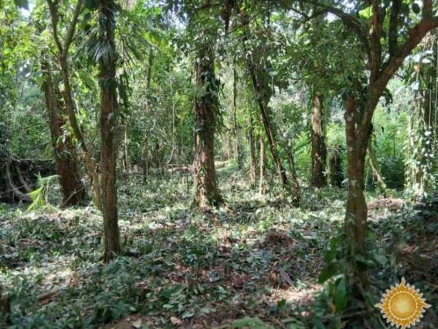 Oportunidade terreno de 896 m² no bairro da Figueira com matricula !