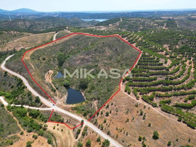 OPORTUNIDADE: TERRENO DE 9,2 HA NO PINCHO, LAGOS