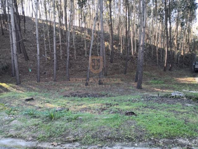 Oportunidade terreno para construir Gondemaria