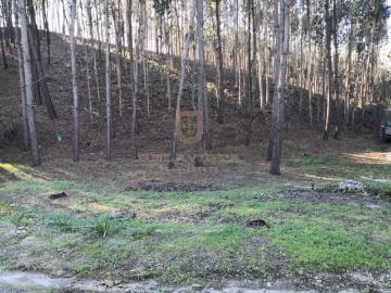 Oportunidade terreno para construir Gondemaria