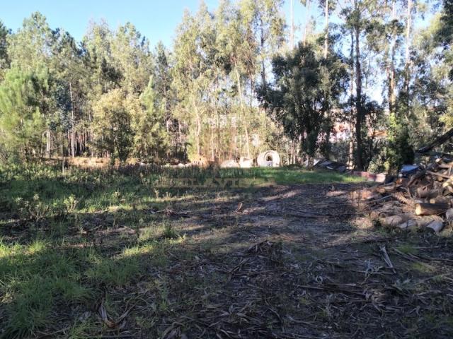 Oportunidade terreno para construir Gondemaria