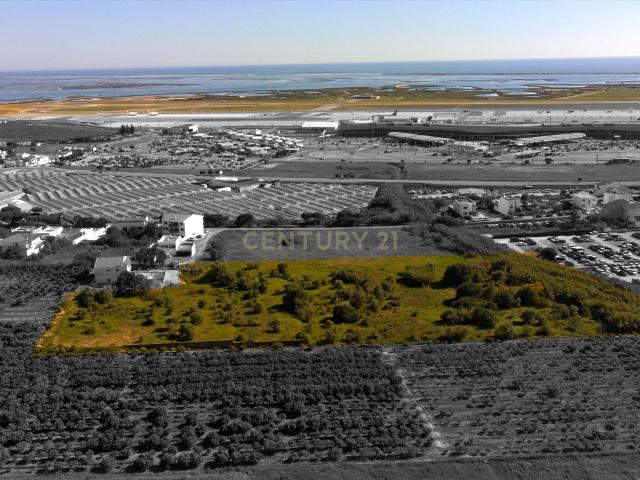 Oportunidade Terreno para loteamento em Montenegro Faro