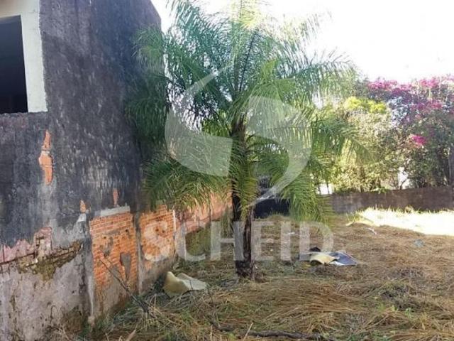 OPORTUNIDADE UNICA