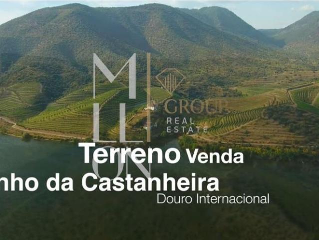 Oportunidade Única de Investimento Agrícola