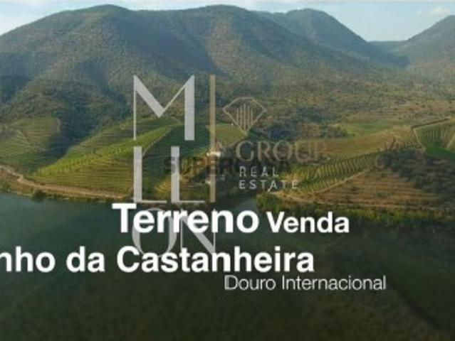 Oportunidade Única de Investimento Agrícola