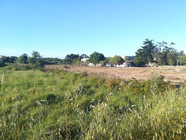 Oportunidade única de Investimento: Terreno Industrial – Vila Verde, Terrugem, Sintra
