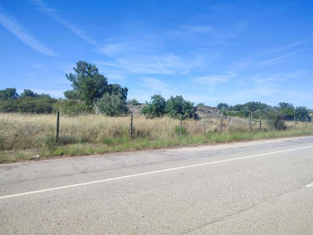 Oportunidade Única em Alcains: Terreno com 1900 m²