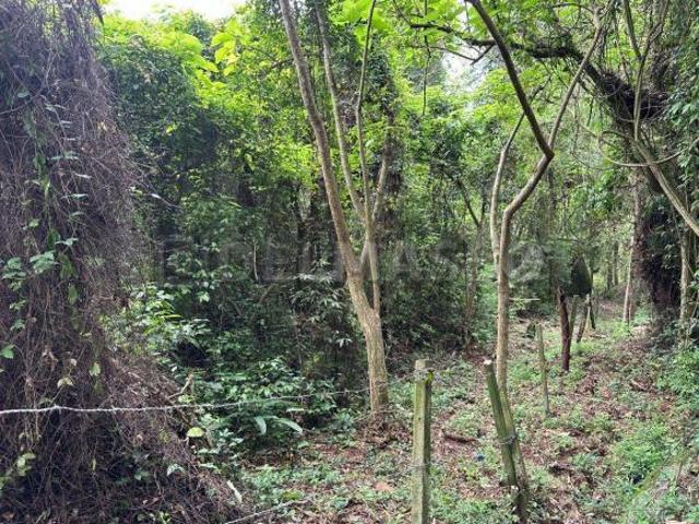 Oportunidade única em Ibiúna! Terreno de 32.160m²