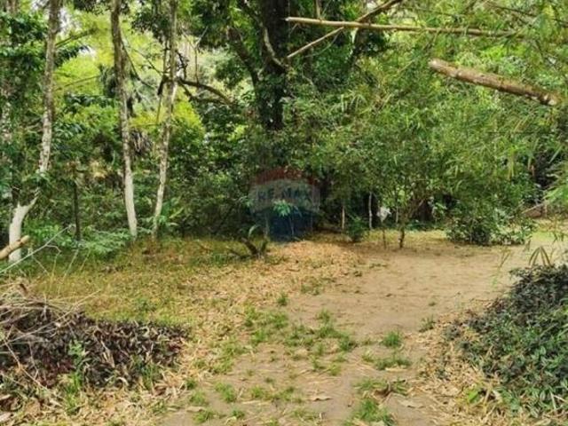 Oportunidade Única em Ilhabela