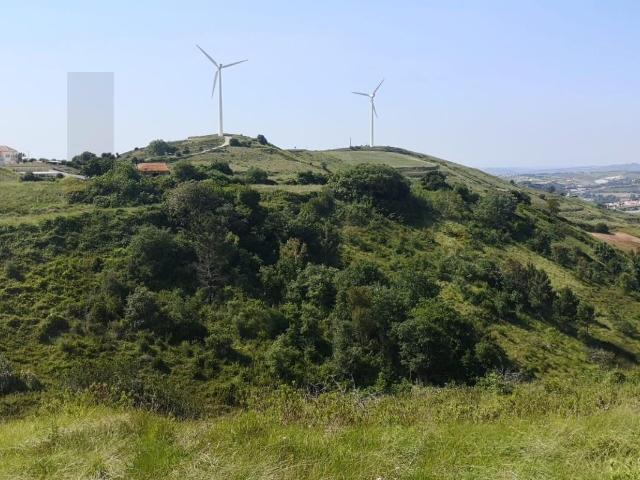 Oportunidade Única em Mafra 9 Hectares de Terreno com Ruinas Registadas