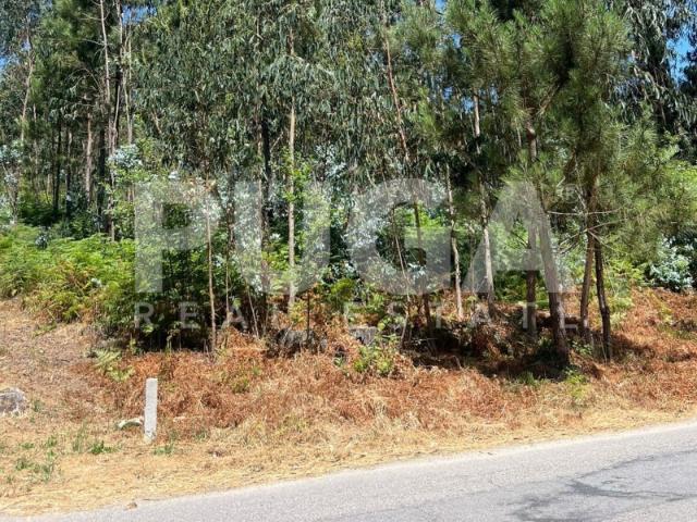 Oportunidade única em Vila Maior Terreno com 1584m2 e óptima localização