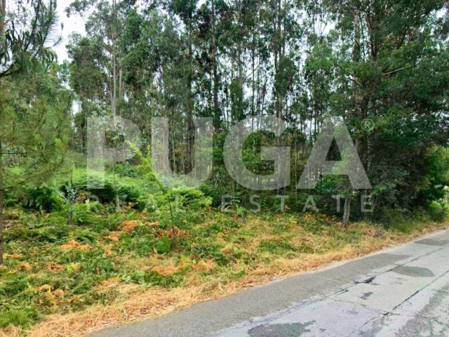 Oportunidade única em Vila Maior Terreno com 3408 m2 e óptima localização