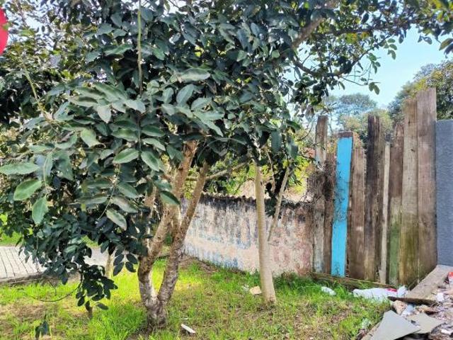 Oportunidade única! Este terreno com 296 m2