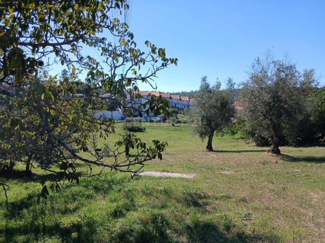 Oportunidade Única: Espaço, Natureza e Potencial de Construção no Centro de Ansião
