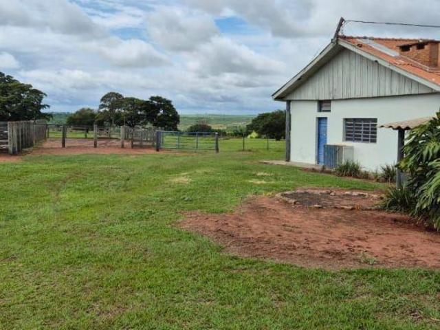 Oportunidade Única – Fazenda à Venda com 95 Alqueires em Martinópolis/SP