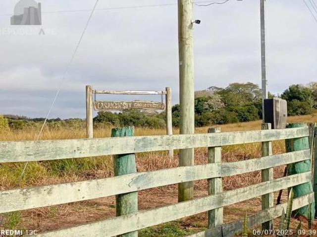 Oportunidade única! Fazenda com 28 ha, desocupada à venda em Viamão, Rio Grande