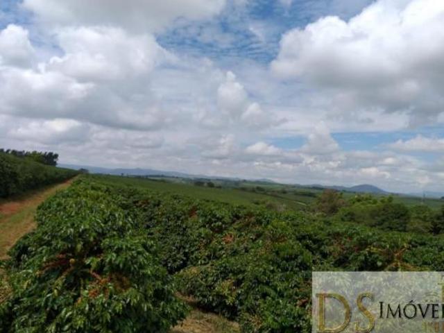 OPORTUNIDADE ÚNICA: FAZENDA DE CAFÉ COM 120 ALQUEIRES EM PIUMHI/MG!