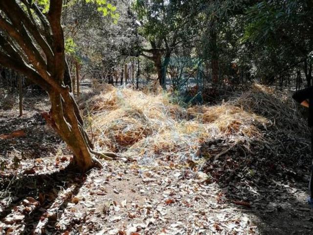 Oportunidade única: Lote à venda em Belo Horizonte MG, bairro Trevo, com 720m² de área