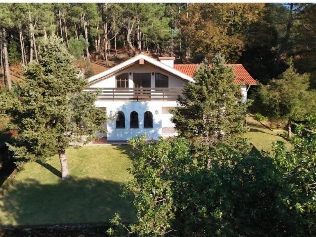 Oportunidade única Moradia T3 em Argela inserida em terren. 0m² Argela