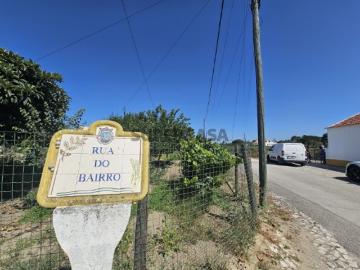 Oportunidade Única no concelho de Palmela, freguesia de Poceirão e Marateca, terrenos com vinha e potencial de construção!
