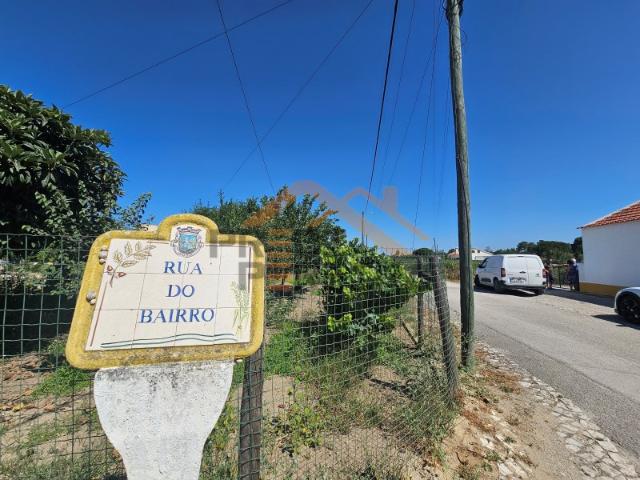 Oportunidade Única no concelho de Palmela, freguesia de Poceirão e Marateca, terrenos com vinha e potencial de construção!