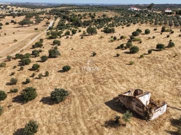 Oportunidade Única no Coração do Alentejo Monte com Ruína Próximo da Praia Fluvial das Azenhas d’El Rei