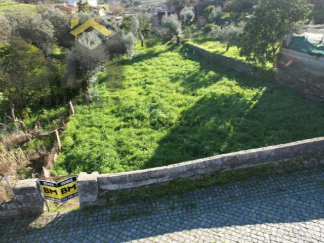 Oportunidade Única no Palvarinho: Terreno de 400 m² viabilidade de construção de moradia