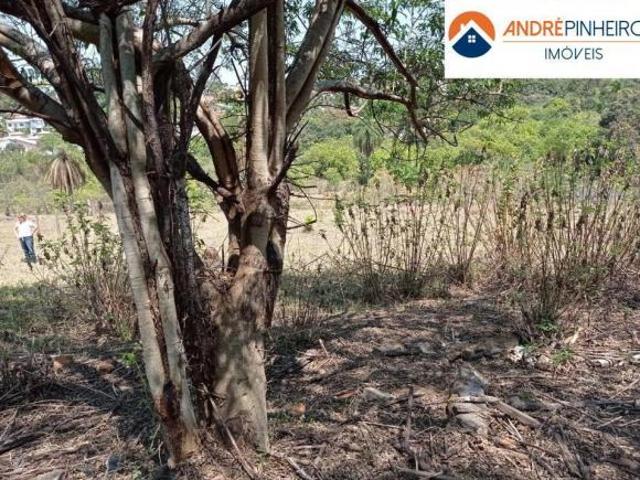 Oportunidade Única na Pampulha: Terreno de 1.000 m² no Enseada das Garças