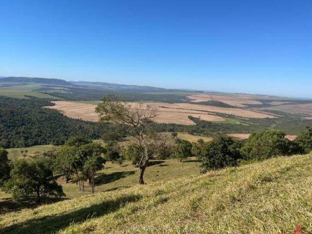 Oportunidade única: sítio à venda em Franca SP. Venha conhecer!