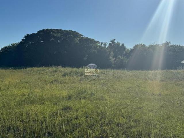 Oportunidade única: Sítio à venda em Osório RS, bairro Palmital, com 3 hectares de área! Confira ago