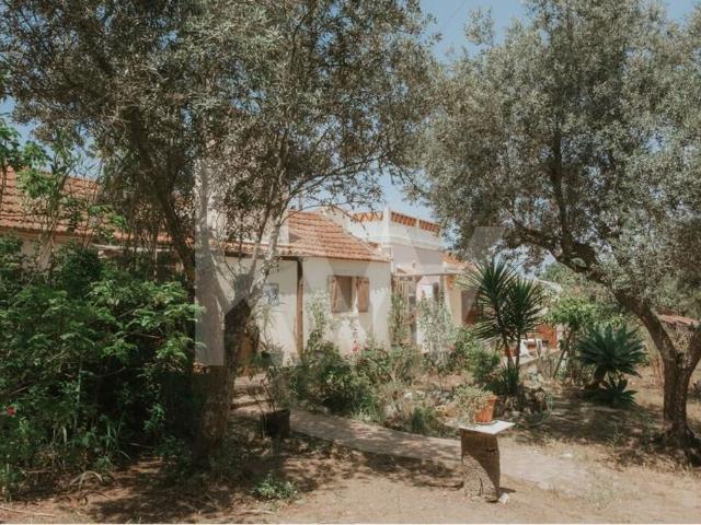 Oportunidade Única: Propriedade excepcional na Estrada da Boavista, Melides