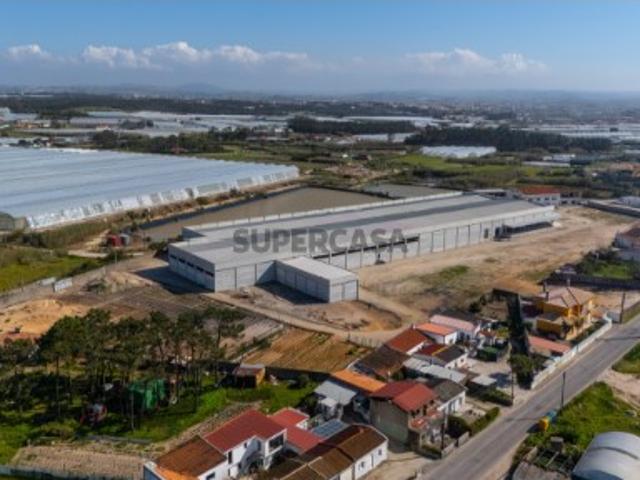 Oportunidade Única: Propriedade Versátil de 26.200 m² em A dos Cunhados Ideal para Logística e Residência!