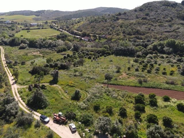 Oportunidade Única – Quinta com Potencial e Ribeira Natural
