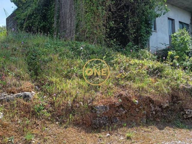 Oportunidade Única! Terreno Amplo para Construção em Coimbra