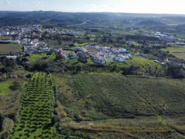Oportunidade Única Terreno com Pomar e Vista Deslumbrante para Óbidos