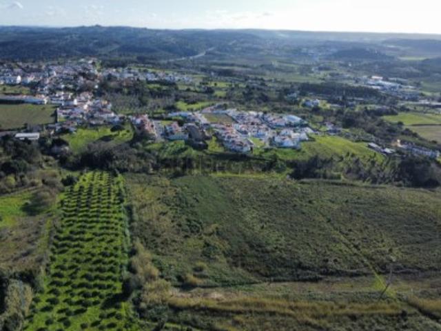 Oportunidade Única Terreno com Pomar e Vista Deslumbrante para Óbidos