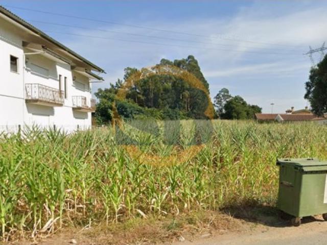 Oportunidade única Terreno em Oliveira de Azeméis