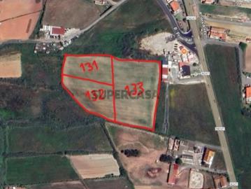 Oportunidade Única Venda de Três Terrenos Rústicos no Brejo, Encarnação Mafra