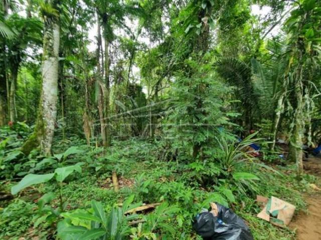 OPORTUNIDADE Ubatuba, Praia do Felix Lote frente mar, com 1000m2, sem licenciamento Ambiental