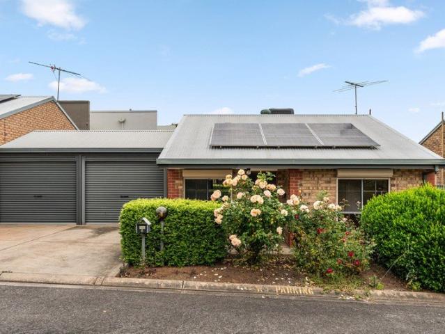 Open Plan Living, Solar Efficiency & Private Courtyard