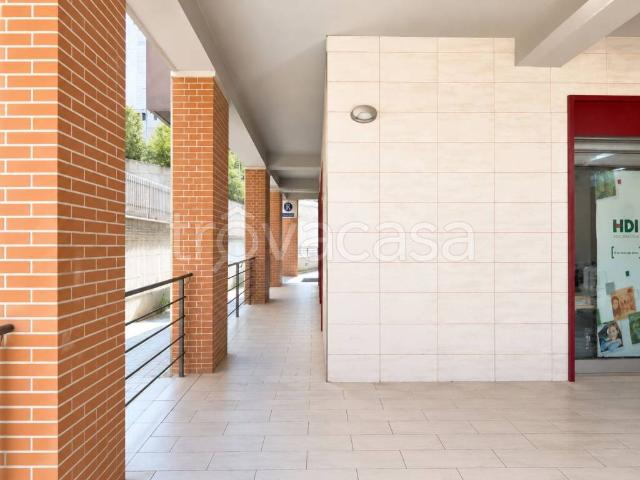 Open space in affitto a Potenza