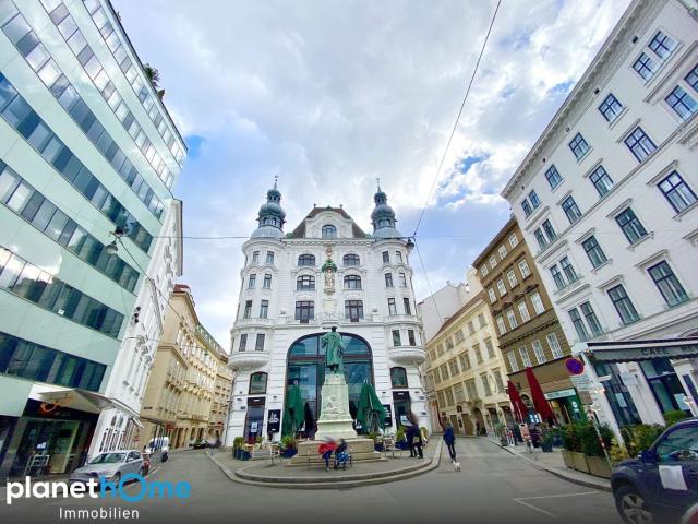Historisches Open Space Wohnen & Homeoffice im Herzen der Wiener Innenstadt