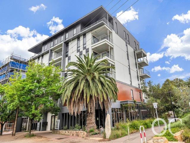 Open the door on effortless Everard Park living