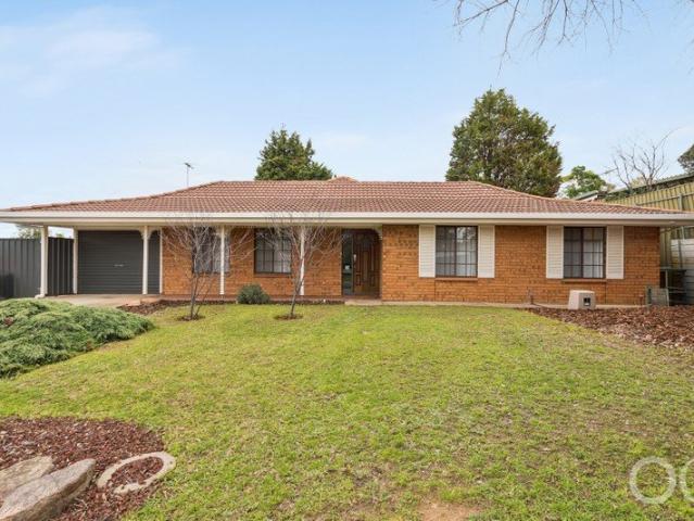 Open the Door a Stunning Rear Light Filled Extension and Kids Can Walk to School