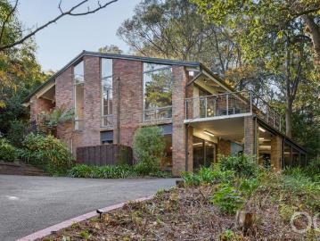 Open the Door Hills Hideaway Reimagined Family Retreat in the Treetops