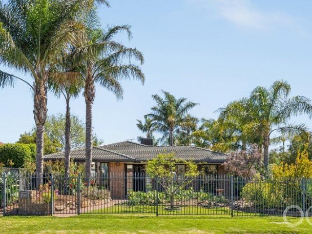 Open the Door to a Family Entertainer on a Corner Block with Pool and Shedding