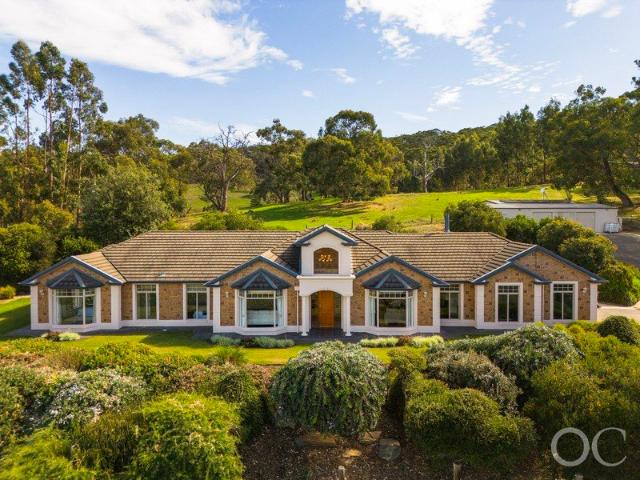 Open the Door to a Hills Homestead Dream Wrapped in Horizon