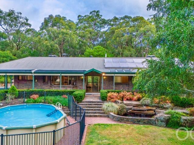 Open the Door to a Hills Homestead with Pool and Range